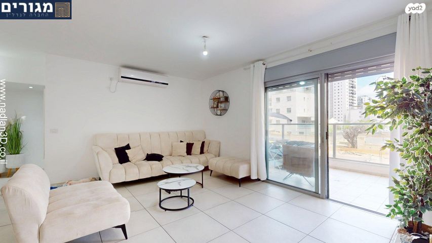 דירה, השחף, החותרים, טירת כרמל