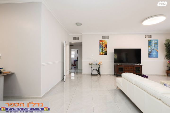 דוד וולפסון 4