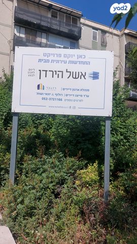 התאנה 12