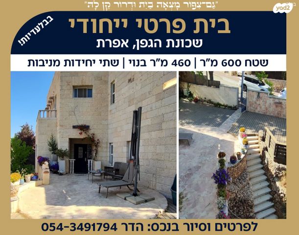 הגפן