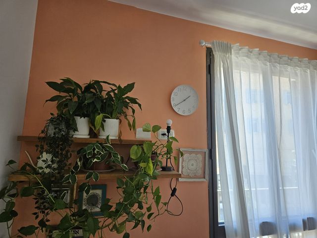 דירה, צפון יפו, המושבה האמריקאית-גרמנית, תל אביב יפו