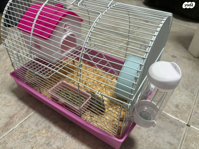 תמונת מודעה - חיות מחמד