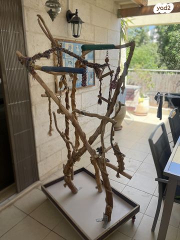 תמונת מודעה - חיות מחמד