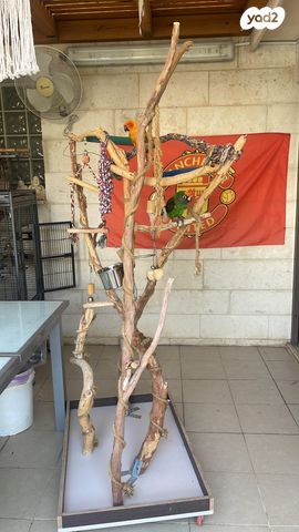 אביזרים | סטנד לתוכי