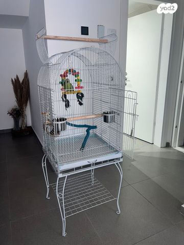 אביזרים | כלוב האכלת יד