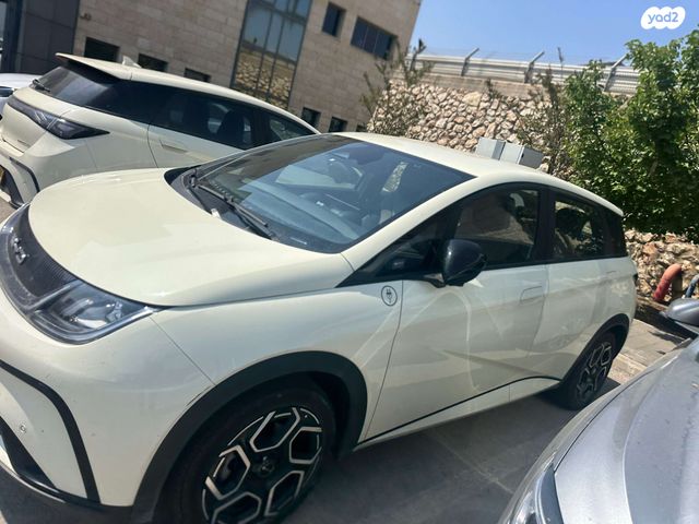 מודעת רכב בי.ווי.די דולפין