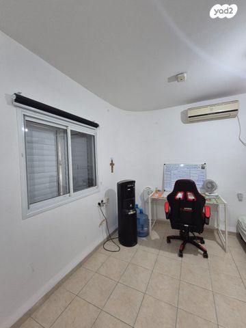 הדס 24