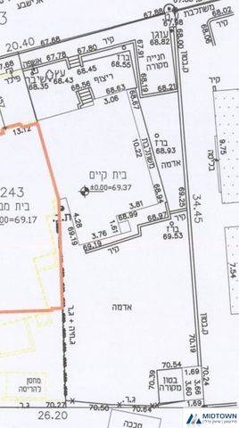 אלישבע 7