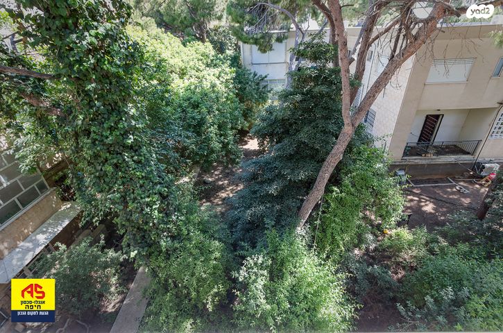 דירה, שדרות הנשיא, רמת התשבי, חיפה