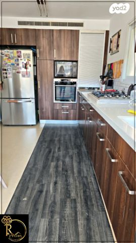 דירה, דרך מדבר יהודה, כלי שיר, מעלה אדומים