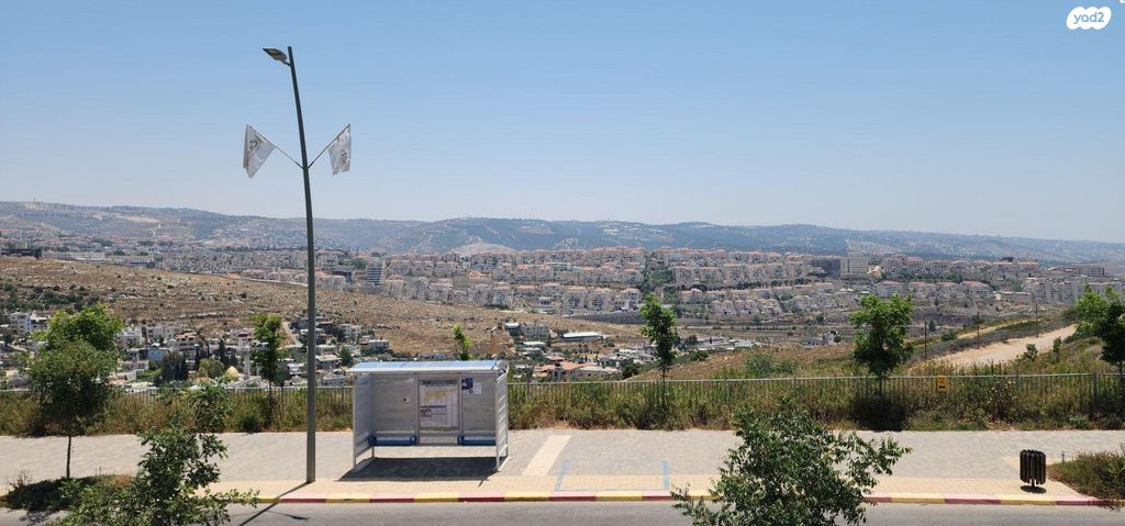 נחליאלי 18