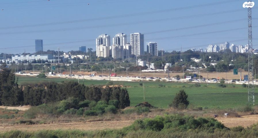לח"י 19
