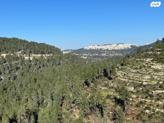 יהלום 1