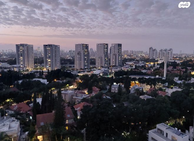 רועי קליין 7