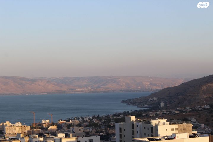 שמעון דהאן 20