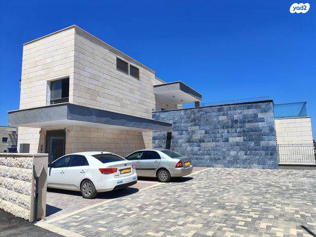 נחל דישון 3