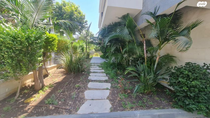 דירה, הדקלים, קרית אתא