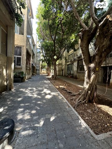 הירדן 11