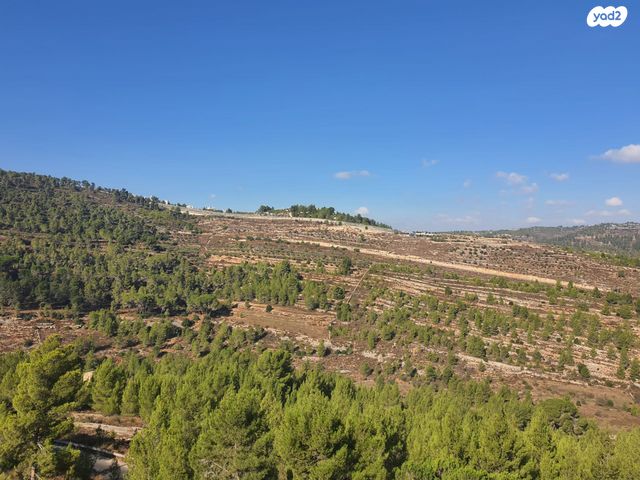 דירה, אבנר חי שאקי, גילה, ירושלים