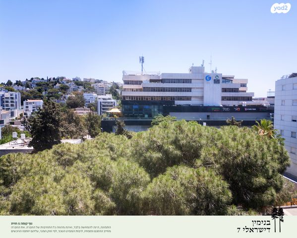 דירה, בנימין ד'ישראלי, אחוזה, חיפה