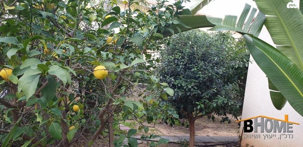 בית פרטי/ קוטג', עין שריד, עין שריד