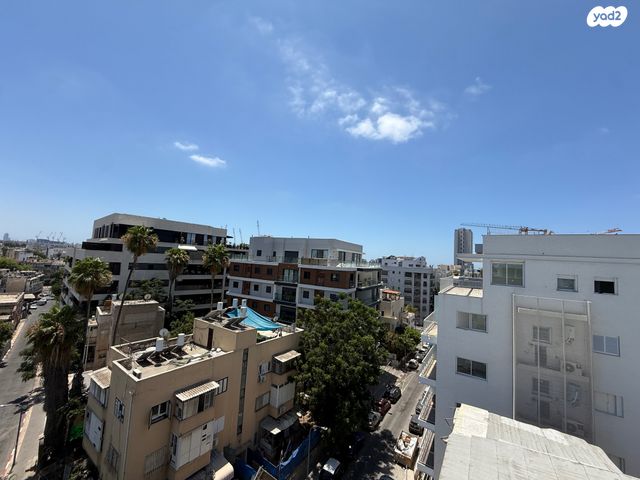 הקונגרס 33