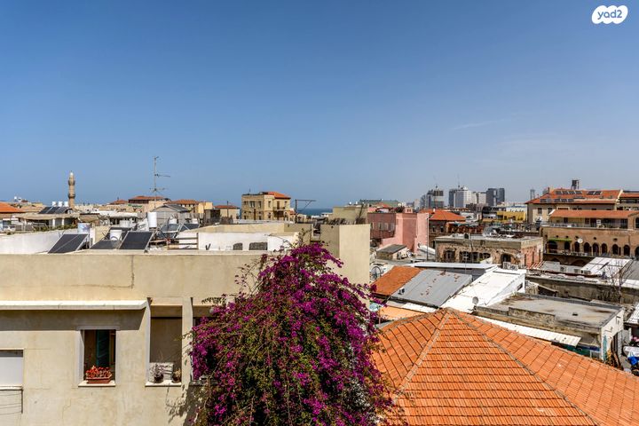 דירה, רבי יוחנן, צפון יפו, המושבה האמריקאית-גרמנית, תל אביב יפו