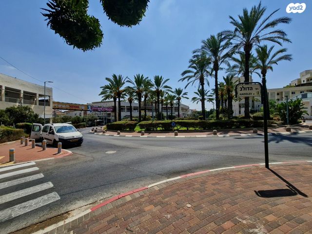 דירה, הדולב, קדימה צורן