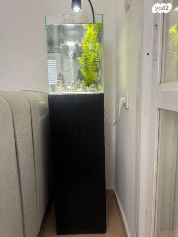 תמונת מודעה - חיות מחמד