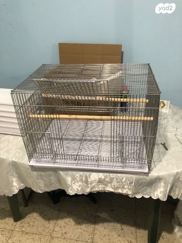 תמונת מודעה - חיות מחמד