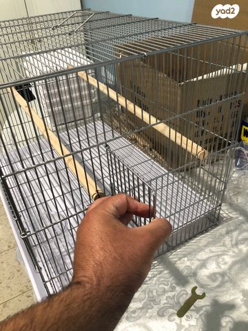 אביזרים | כלוב האכלת יד