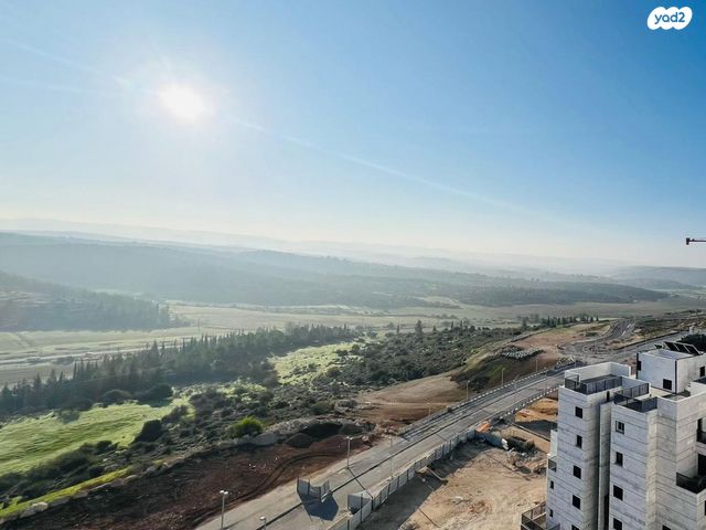 רועי קליין 29