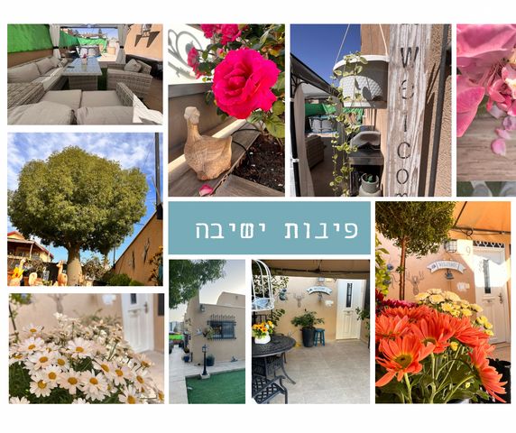 חלמונית 9