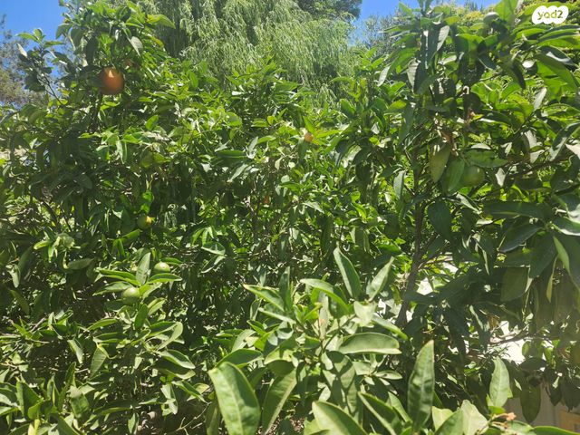 בית פרטי/ קוטג', כפר ורדים