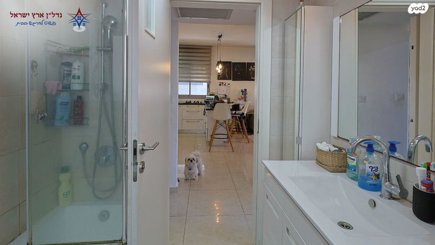 דירה, סירקין, שינקין, גבעתיים