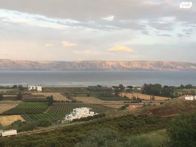 דו משפחתי, מגדל