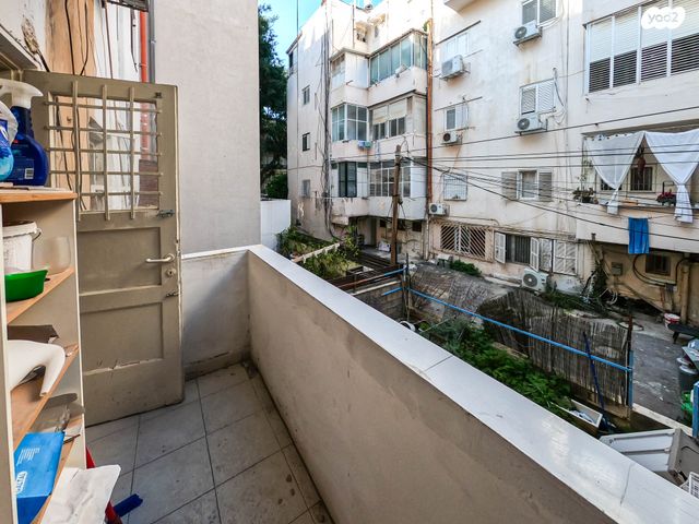 שלמה המלך 69