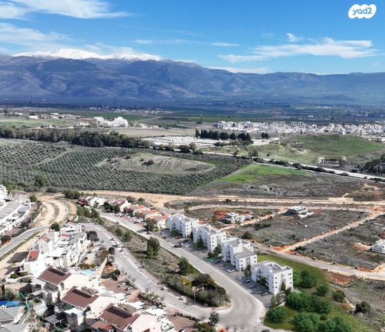 דירה, הר הכרמל, בימת תל חי / מורדות הרי נפתלי, קרית שמונה