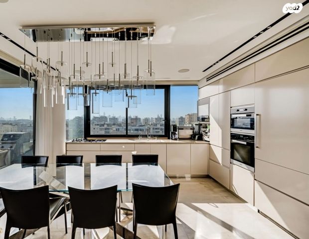 גג/ פנטהאוז, רמת אביב ג', תל אביב יפו