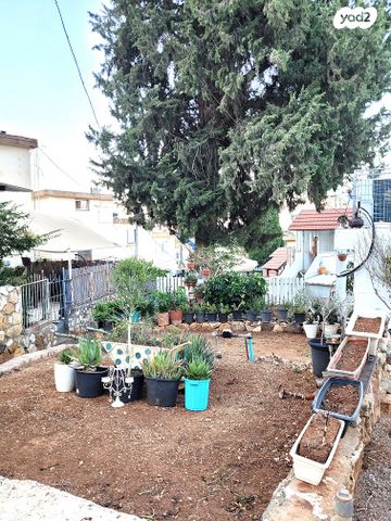 הצוקים 
