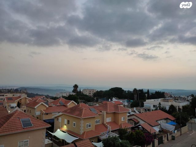 דירה, זכרון יעקב