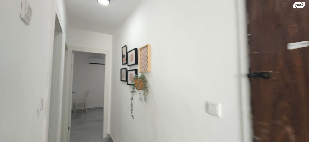 דירה, דימונה