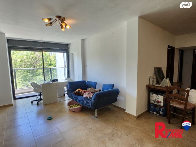 פנחס לבון 12