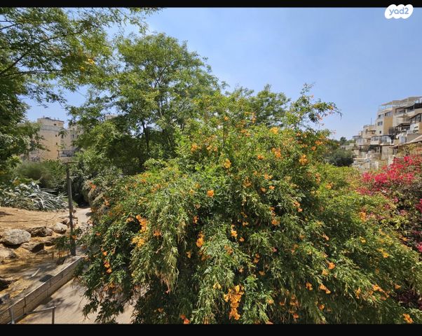 דירת גן, הרב ש. שאולזון, הר נוף, ירושלים