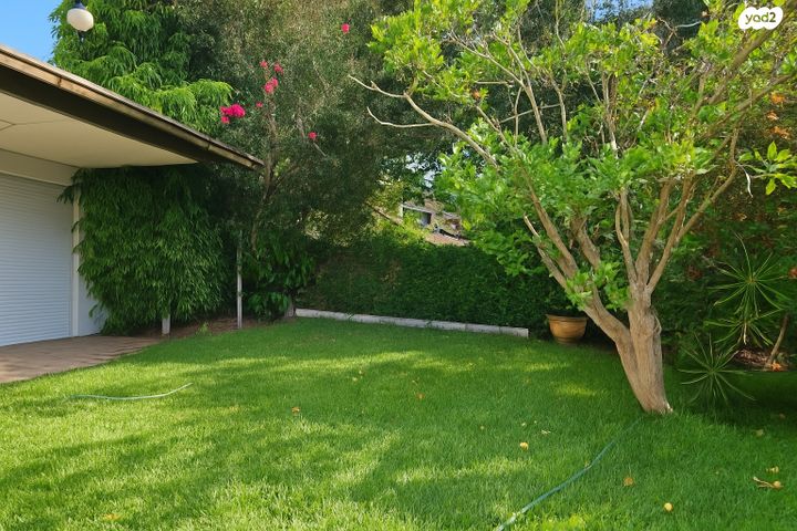 השלושים ושלושה 