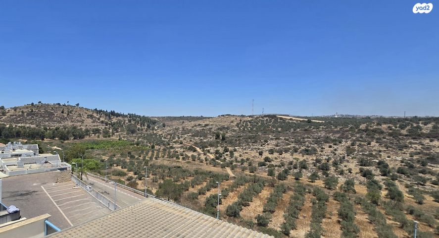 דירת גן, אורנית