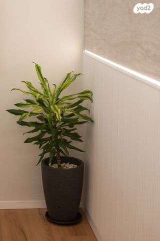 משרדים, קרליבך, גני שרונה, קרית הממשלה, תל אביב יפו