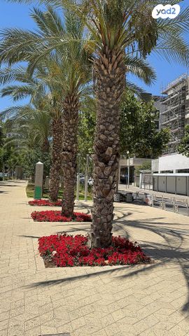 חנויות/ שטח מסחרי, שאר העיר, מודיעין מכבים רעות