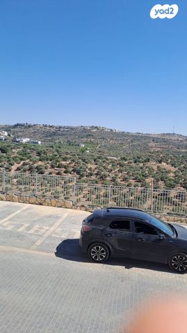 כלנית 1