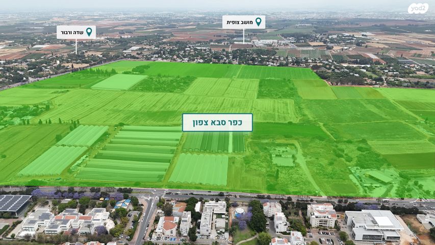 בן יהודה 30